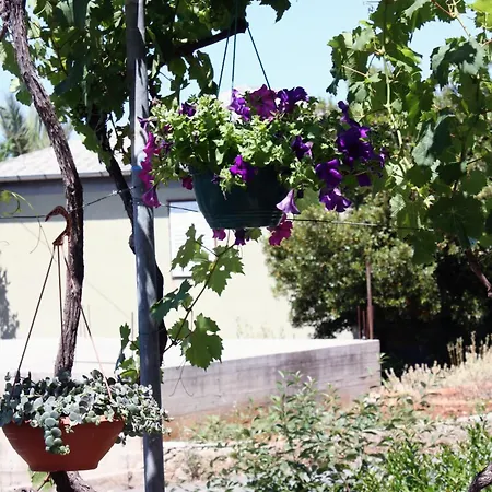 And With Parking Space Barbat, Rab - 5070