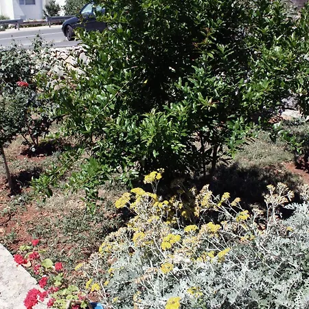 Gasthuis And With Parking Space Barbat, Rab - 5070 Barbat na Rabu