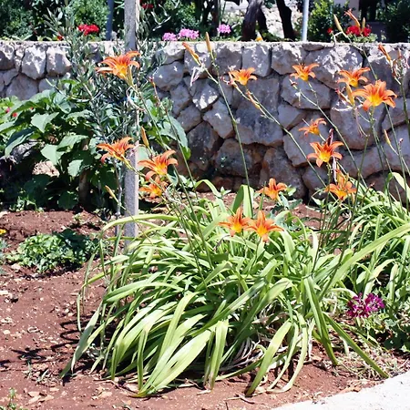 And With Parking Space Barbat, Rab - 5070 Gasthof