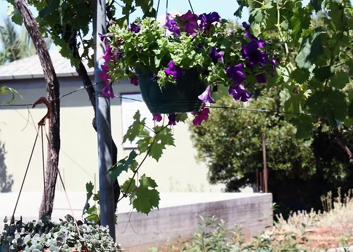 And With Parking Space Barbat, Rab - 5070