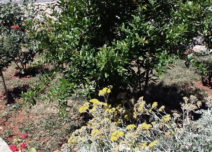 ゲストハウス And With Parking Space Barbat, Rab - 5070 Barbat na Rabu