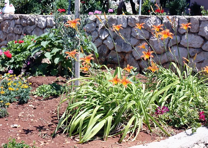 And With Parking Space Barbat, Rab - 5070 ゲストハウス